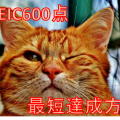 【2023年版】TOEIC600点を1ヶ月で達成した最短勉強法の裏側